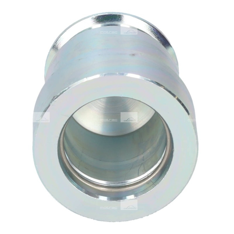 SEALING PLUG